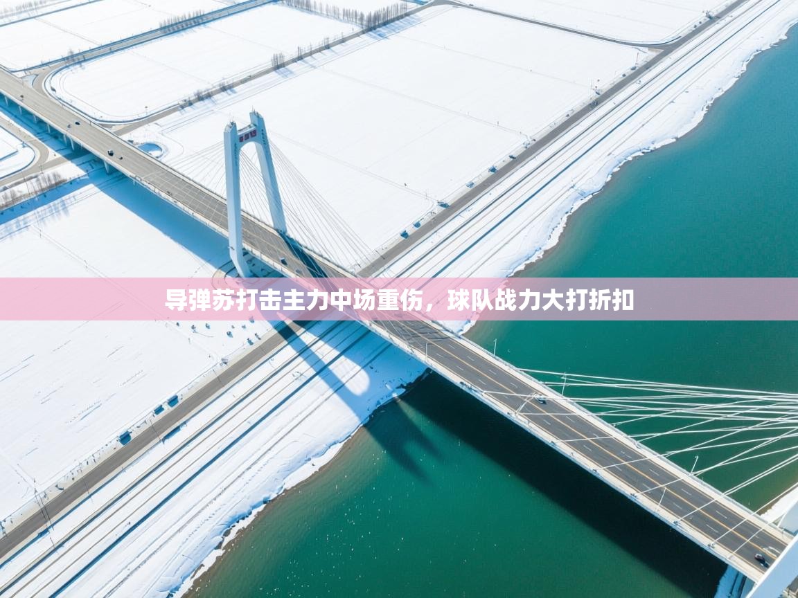 导弹苏打击主力中场重伤，球队战力大打折扣  第1张