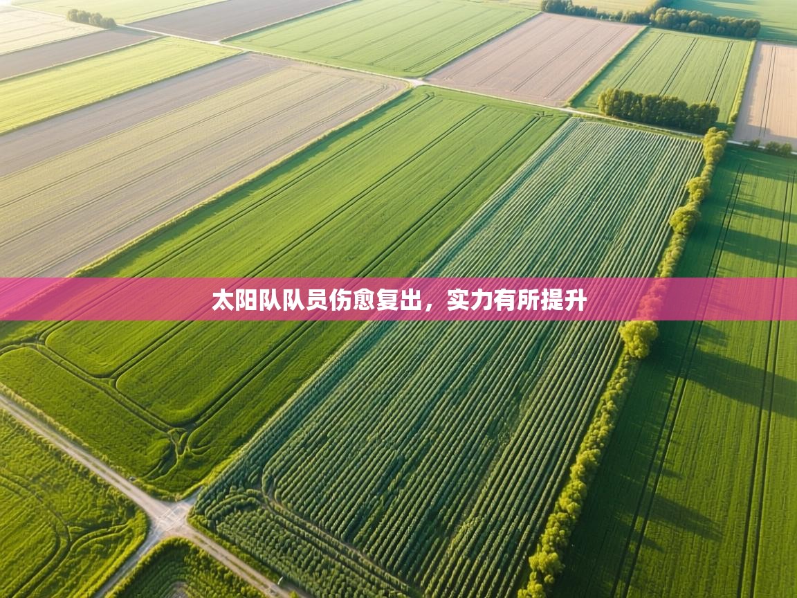 太阳队队员伤愈复出，实力有所提升  第1张