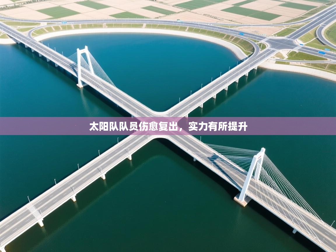 太阳队队员伤愈复出，实力有所提升  第2张