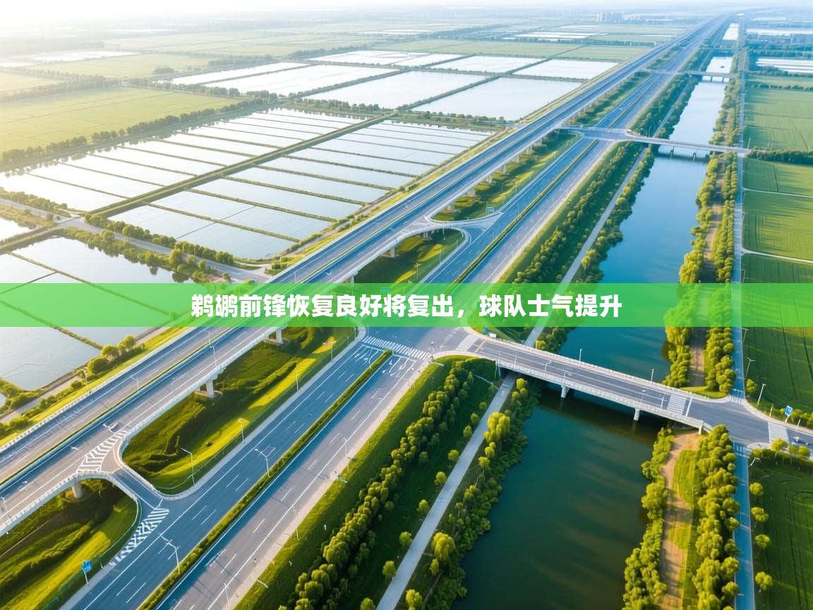 鹈鹕前锋恢复良好将复出，球队士气提升  第2张