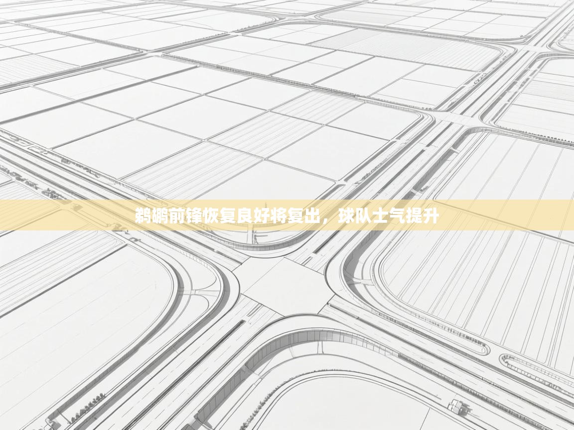 鹈鹕前锋恢复良好将复出，球队士气提升  第1张