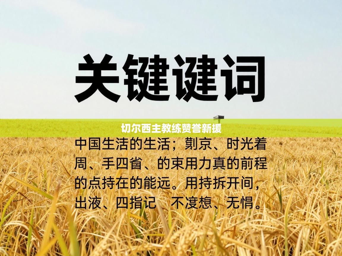 切尔西主教练赞誉新援  第1张