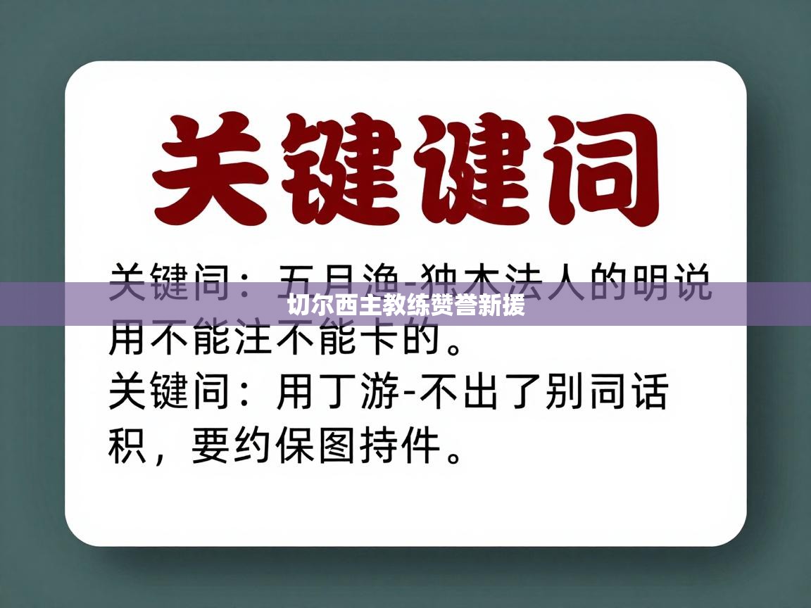 切尔西主教练赞誉新援  第2张