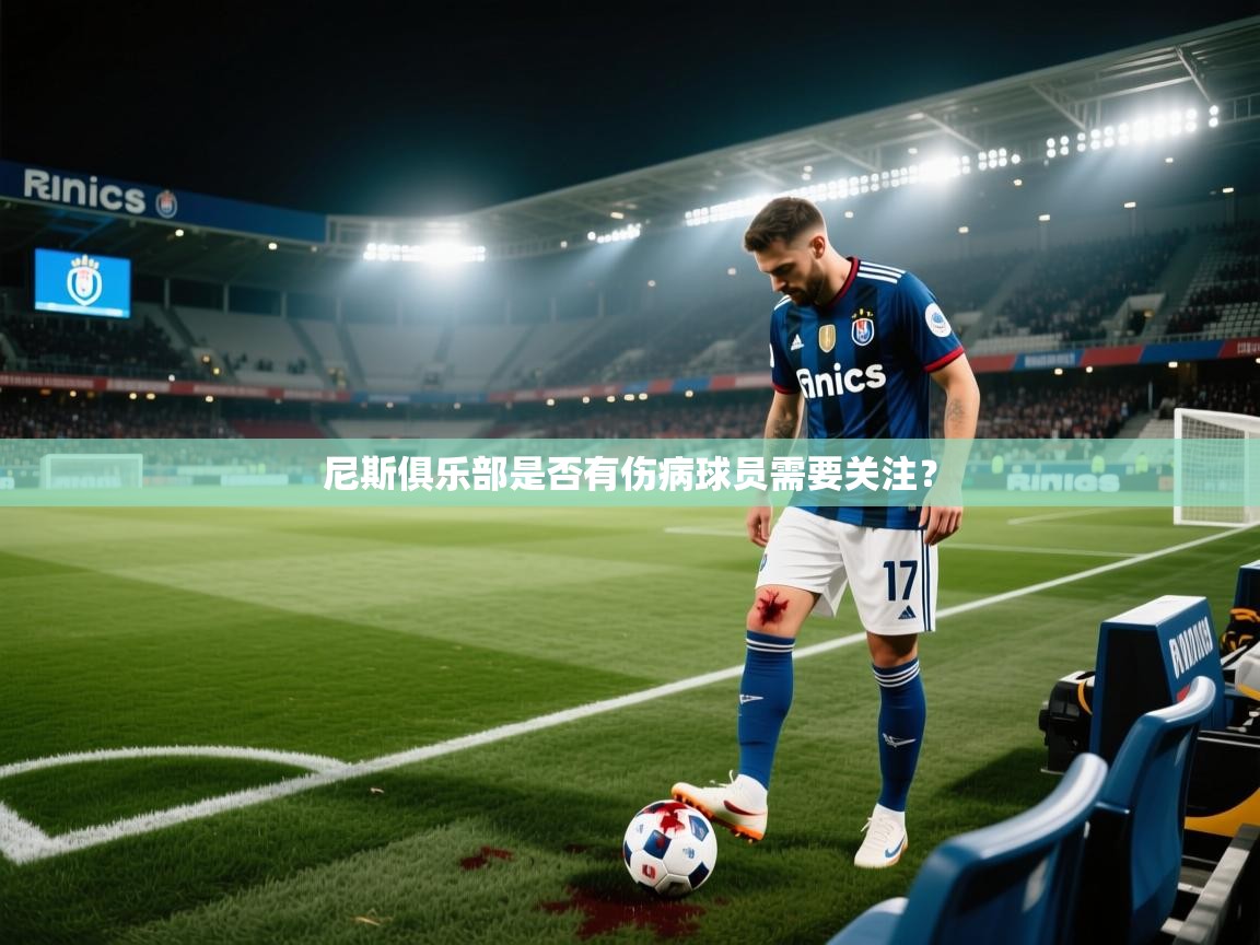 尼斯俱乐部是否有伤病球员需要关注? 第2张
